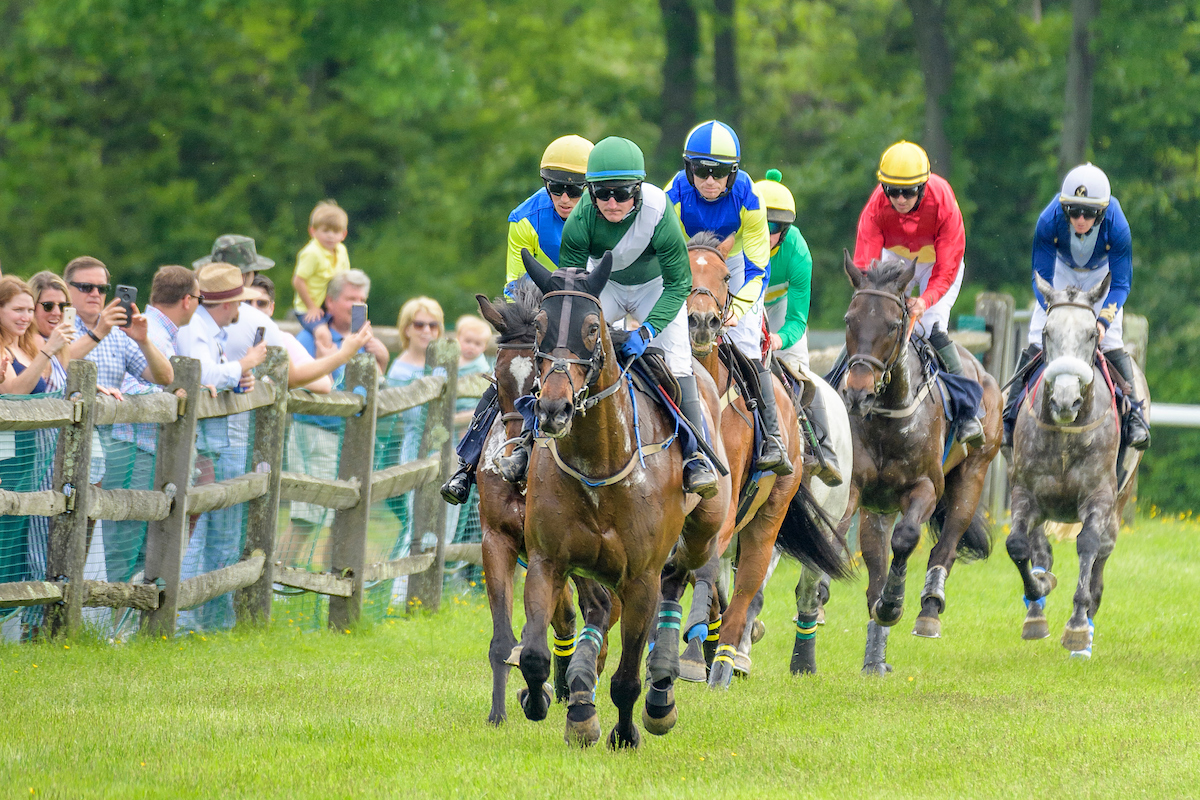 A thrilling day of Racing for Open space draws crowd of 25,000 to the